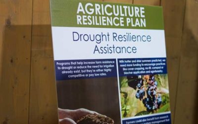 Agriculture Resilience
