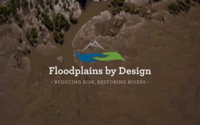 What is the FbD Network?