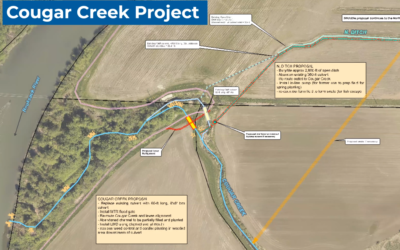 FbD Lunch & Learn – Section 401 Water Quality Certifications