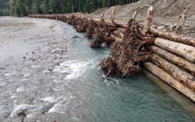 FbD Lunch & Learn Series – Cultural Resources Review