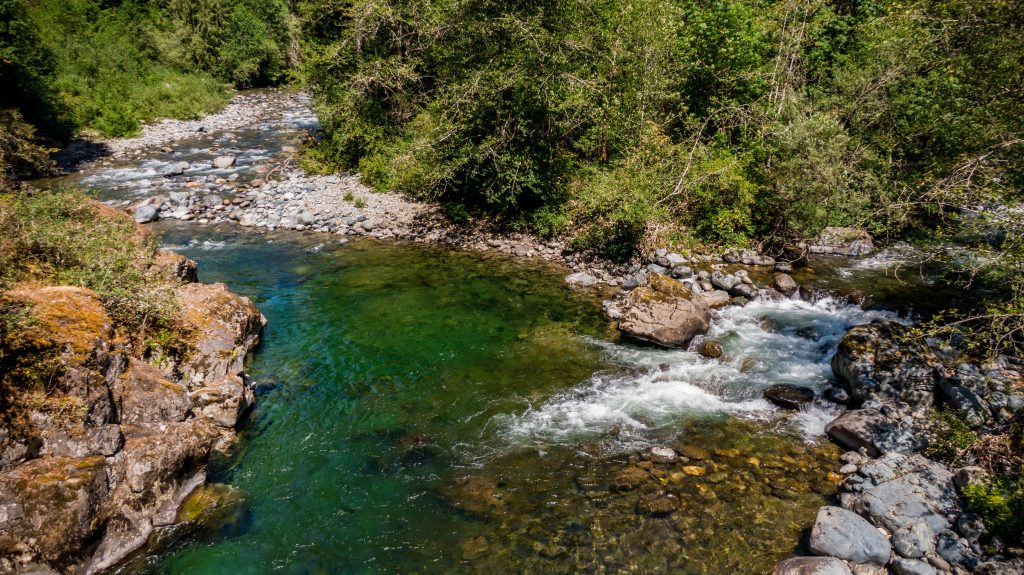 Export_SNO_20210722_505 (1) (North Fork Tolt and South Fork Tolt Confluence by Matthew Baerwalde)