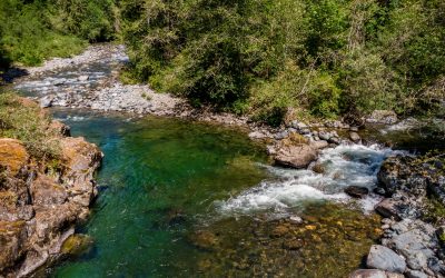 Data and Deep Roots: The Snoqualmie Tribe and EPA are Restoring the Tolt River for Salmon, Culture, and Climate Resilience