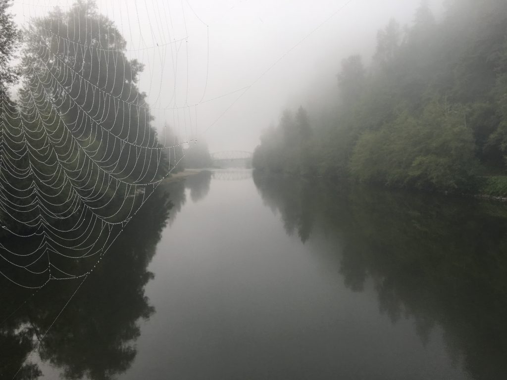 River confluence with spiderweb in foreground captured by Matthew Baerwalde.