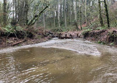 Swan Creek Channel Restoration at Work